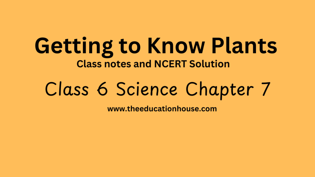 Getting to Know Plants class 6 notes and NCERT solution