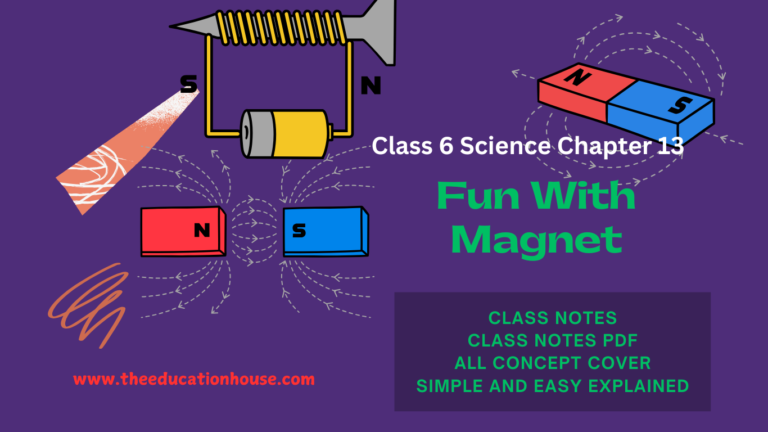 Fun With Magnet Class 6 Science Chapter 13 Notes