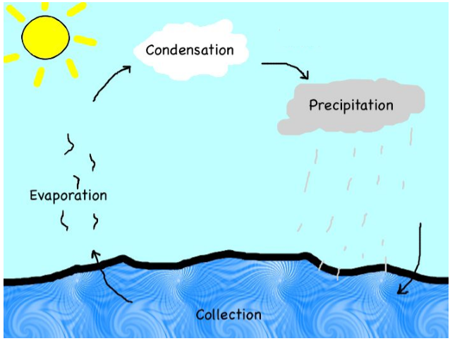 water cycle Distribution of water in India water: A precious resource, Class 7 notes